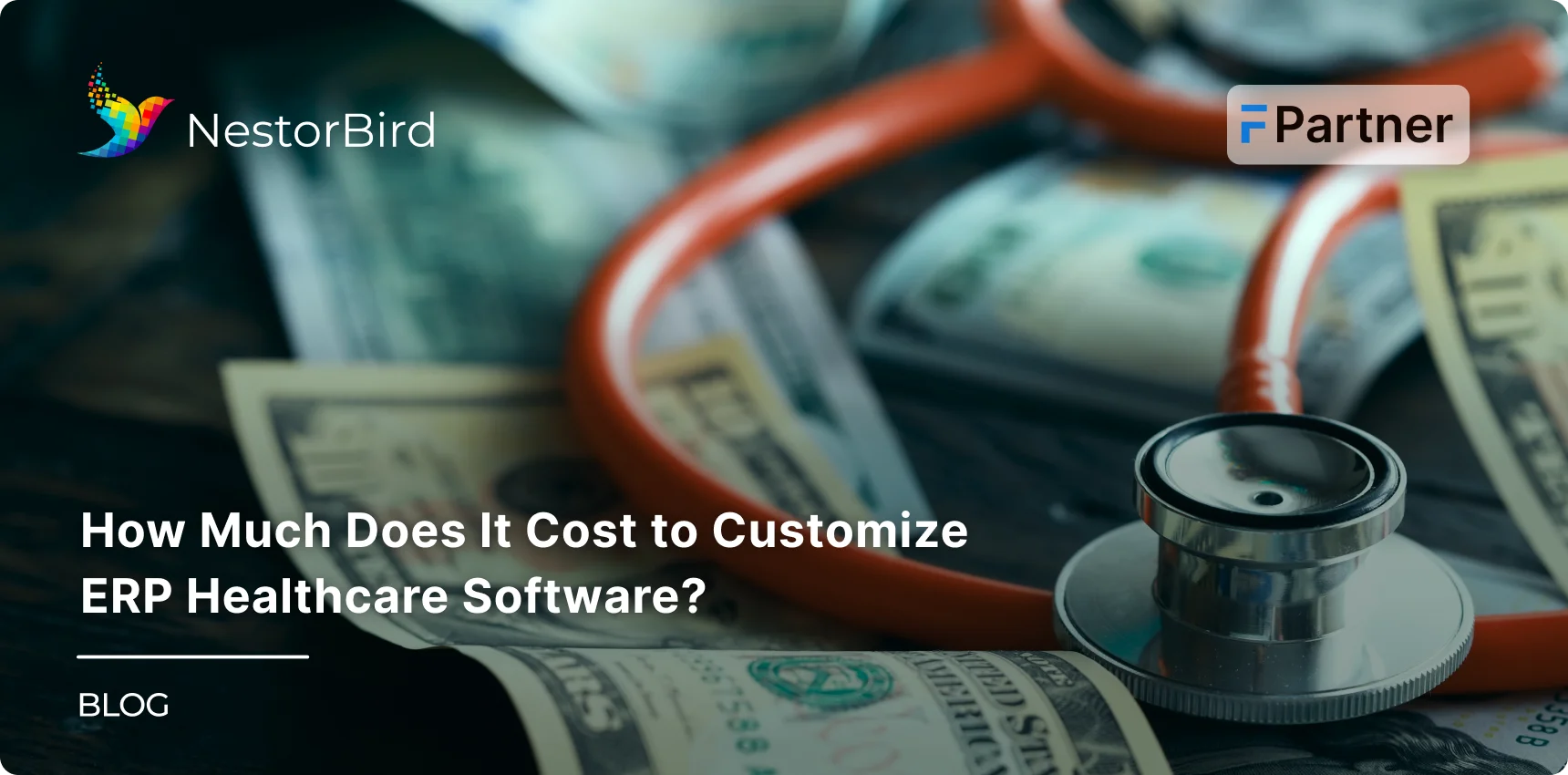 How Much Does It Cost to Customize ERP Healthcare Software?