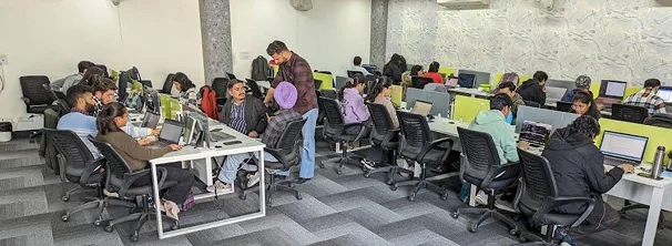 NestorBird Lifestyle