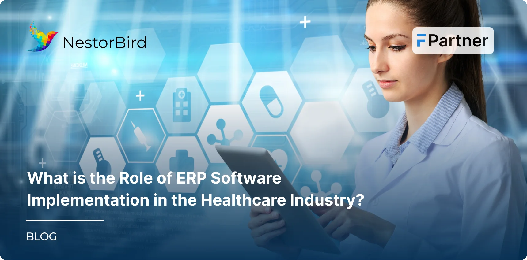 What is the Role of ERP Software Implementation in the Healthcare Industry?